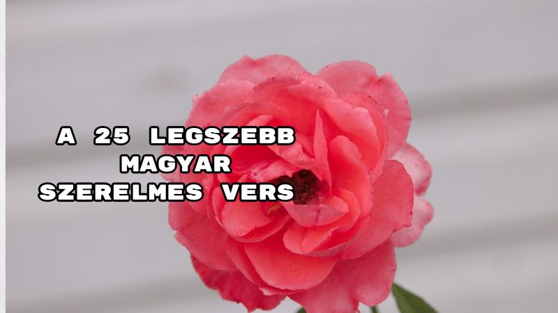 legszebb magyar szerelmes versek